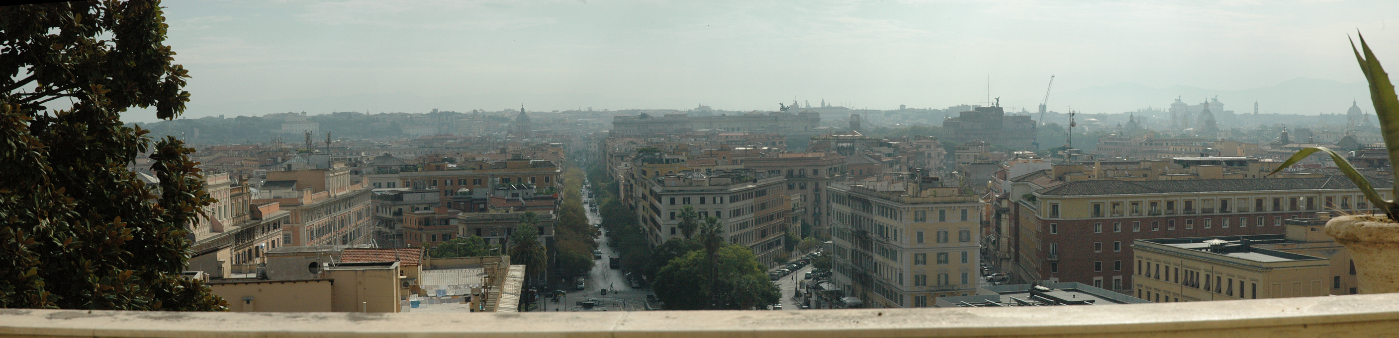 panorama